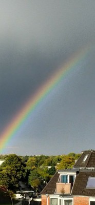 IMG_20201114_225318.jpg (243.91 KiB) 9221-mal betrachtet IMG_20201114_225318.jpg