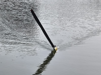 IMG_20250813_174843.jpg (2.46 MiB) 1489-mal betrachtet IMG_20250813_174843.jpg