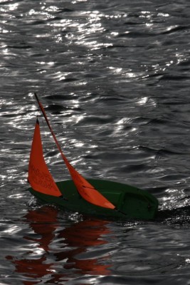 IMG_4768.JPG