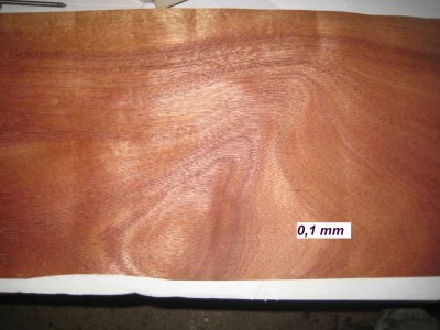 01- Microwood.jpg