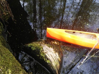 CameraZOOM-20190430143201751_800_600.jpg (108.11 KiB) 10923-mal betrachtet CameraZOOM-20190430143201751_800_600.jpg